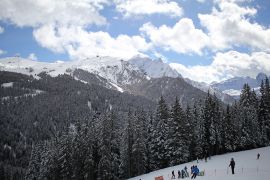 Abeti lungo le piste