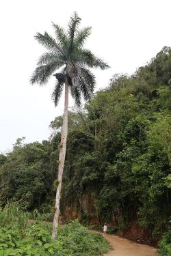 Lungo il percorso verso la cascata
